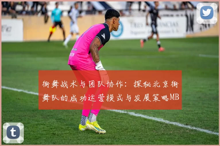 街舞战术与团队协作：探秘北京街舞队的成功运营模式与发展策略MBA