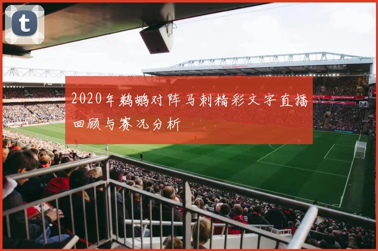 2020年鹈鹕对阵马刺精彩文字直播回顾与赛况分析