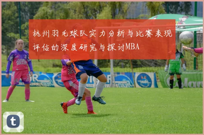 杭州羽毛球队实力分析与比赛表现评估的深度研究与探讨MBA