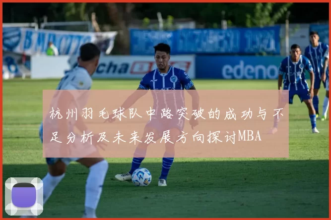 杭州羽毛球队中路突破的成功与不足分析及未来发展方向探讨MBA