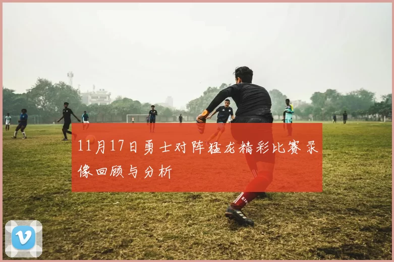 11月17日勇士对阵猛龙精彩比赛录像回顾与分析