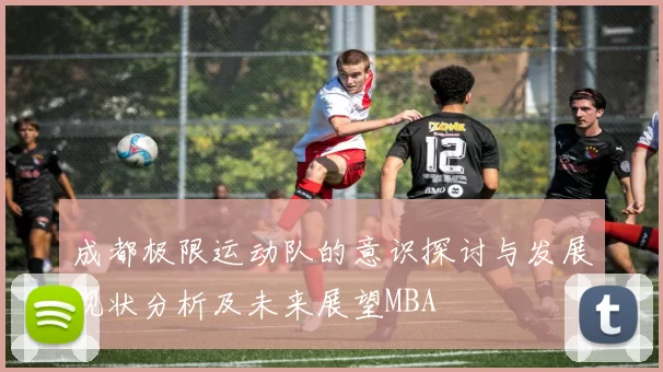 成都极限运动队的意识探讨与发展现状分析及未来展望MBA